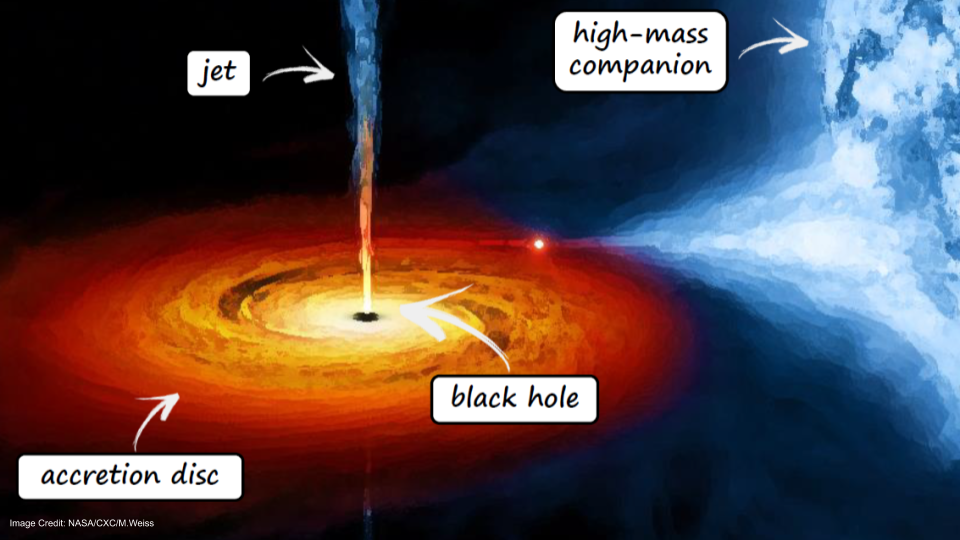 Hadronic emission from the jets of X-ray binaries? – Sera Markoff